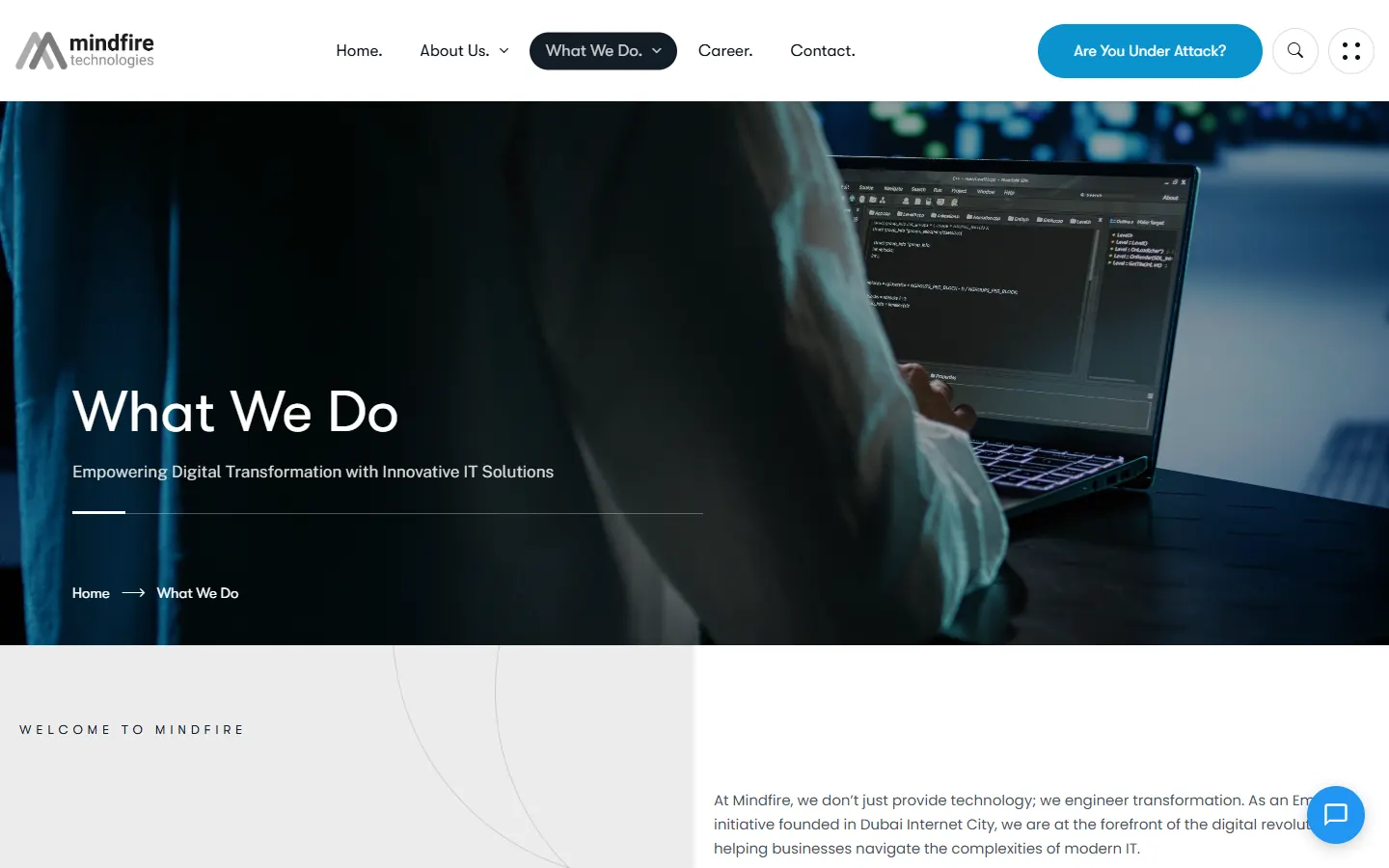 Mindfire services overview page
